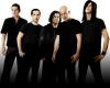 Infected+Mushroom+INFECTED+2008